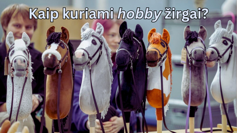 Kaip-kuriami-hobby-žirgai