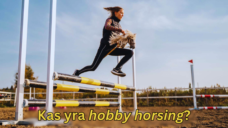 Kas-yra-hobby-horsing